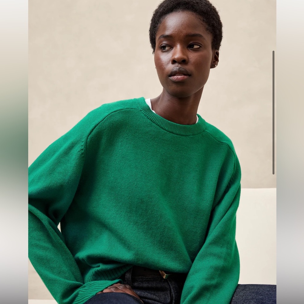 🌟NWT🌟Banana Republic perfectly soft crewneck sweater L